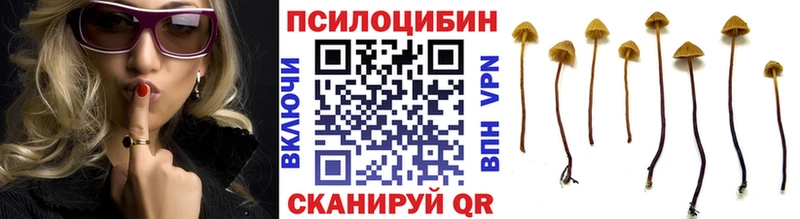 Галлюциногенные грибы мицелий  mega зеркало  Нефтегорск 